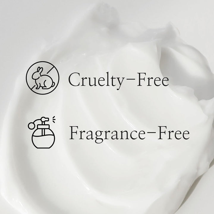Beauty of Joseon Dynasty Cream 3.38 fl.oz