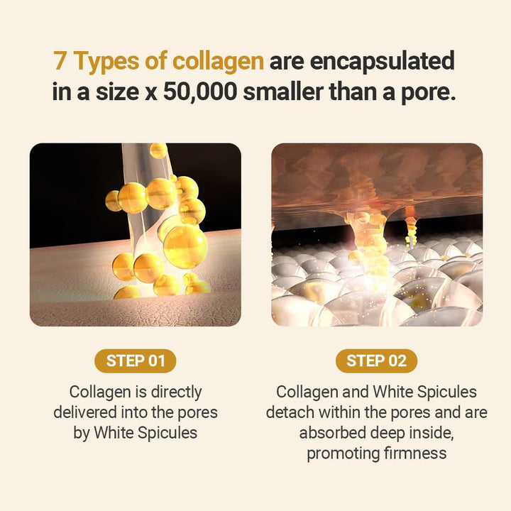SUNGBOON EDITOR Collagen Boosting White Spicule Cream 1.69 fl Oz, 50ml