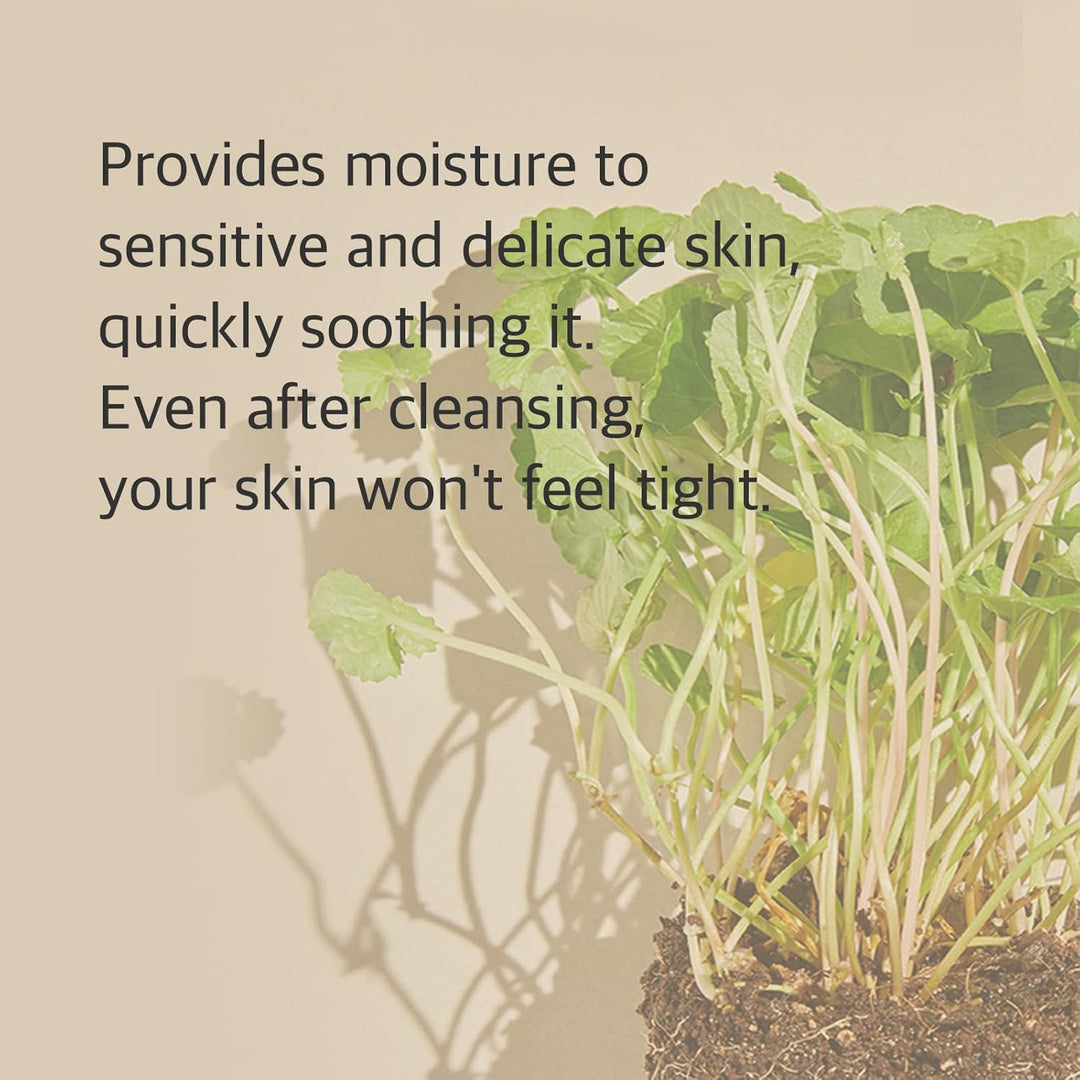 mixsoon Centella Cleansing Foam 150ml, 5.07 fl oz