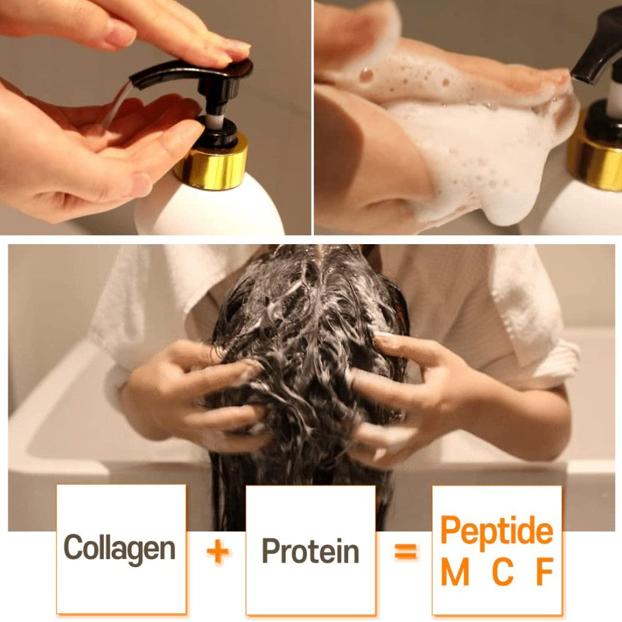 CER-100 Collagen Coating Hair A+ Muscle Shampoo, 16.9 fl oz / 500ml