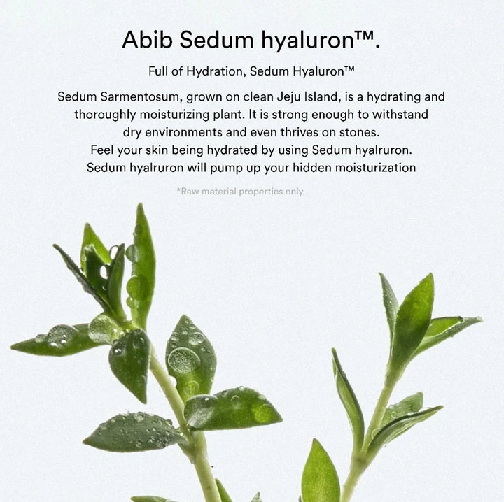 Abib Sedum hyaluron crème Hydrating 30ml