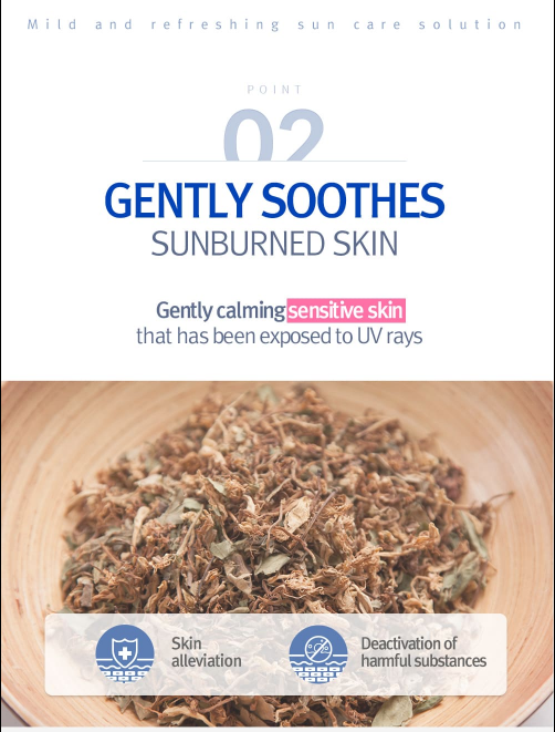 Pyunkang Yul ATO Mild Sun Cream 75ml- All Skin Types, Broad Spectrum SPF 50